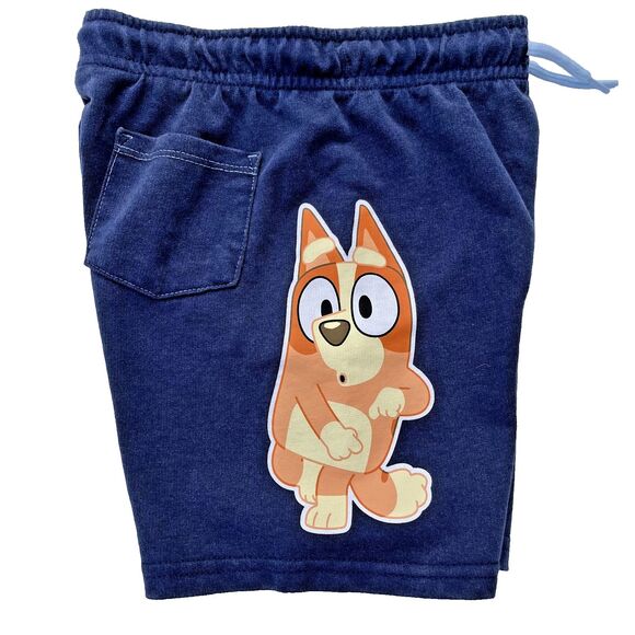 Bluey Bingo Two Piece Set Short Sleeve Shirt and Shorts Clear Sky Size 4T NWT - Picture 6 of 7